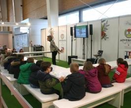 AOVE & NUTS experience