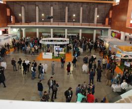 Jornadas Formativas sobre PISTACHO Y ALMENDRA