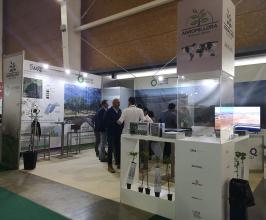 AOVE & NUTS experience 2022