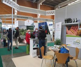 AOVE & NUTS experience 2022