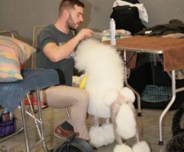 Ebora Dog Show