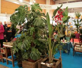 Feria del Stock Talavera 