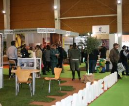 AOVE & NUTS experience